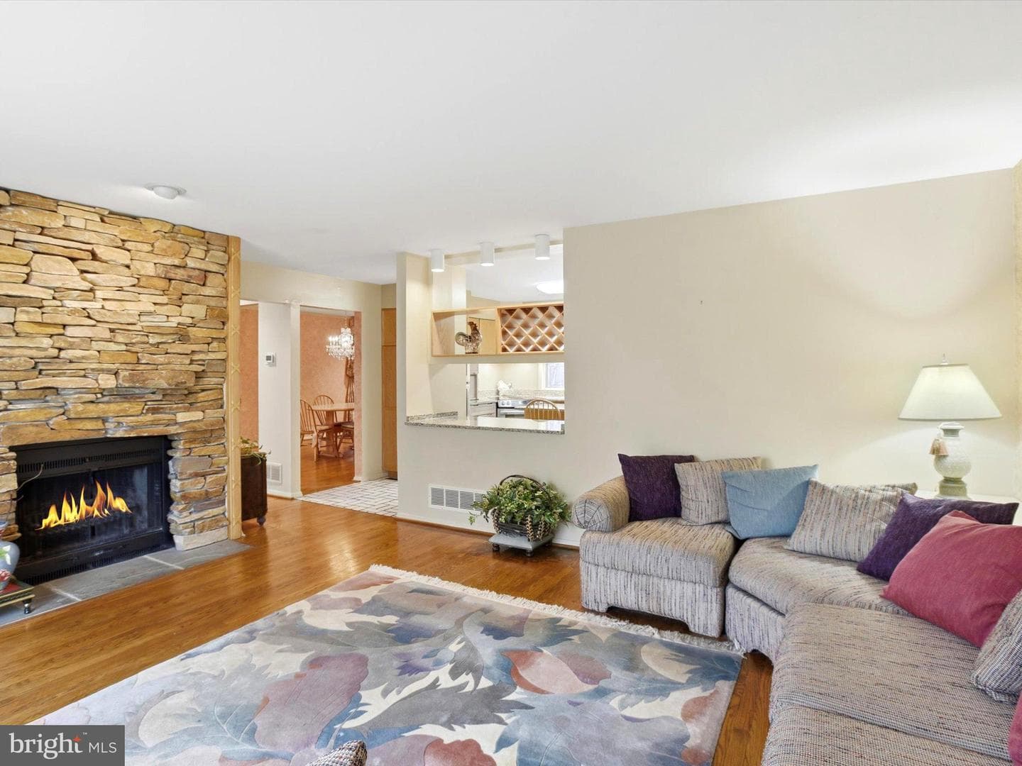 11006 Valley Heights Drive photo 20