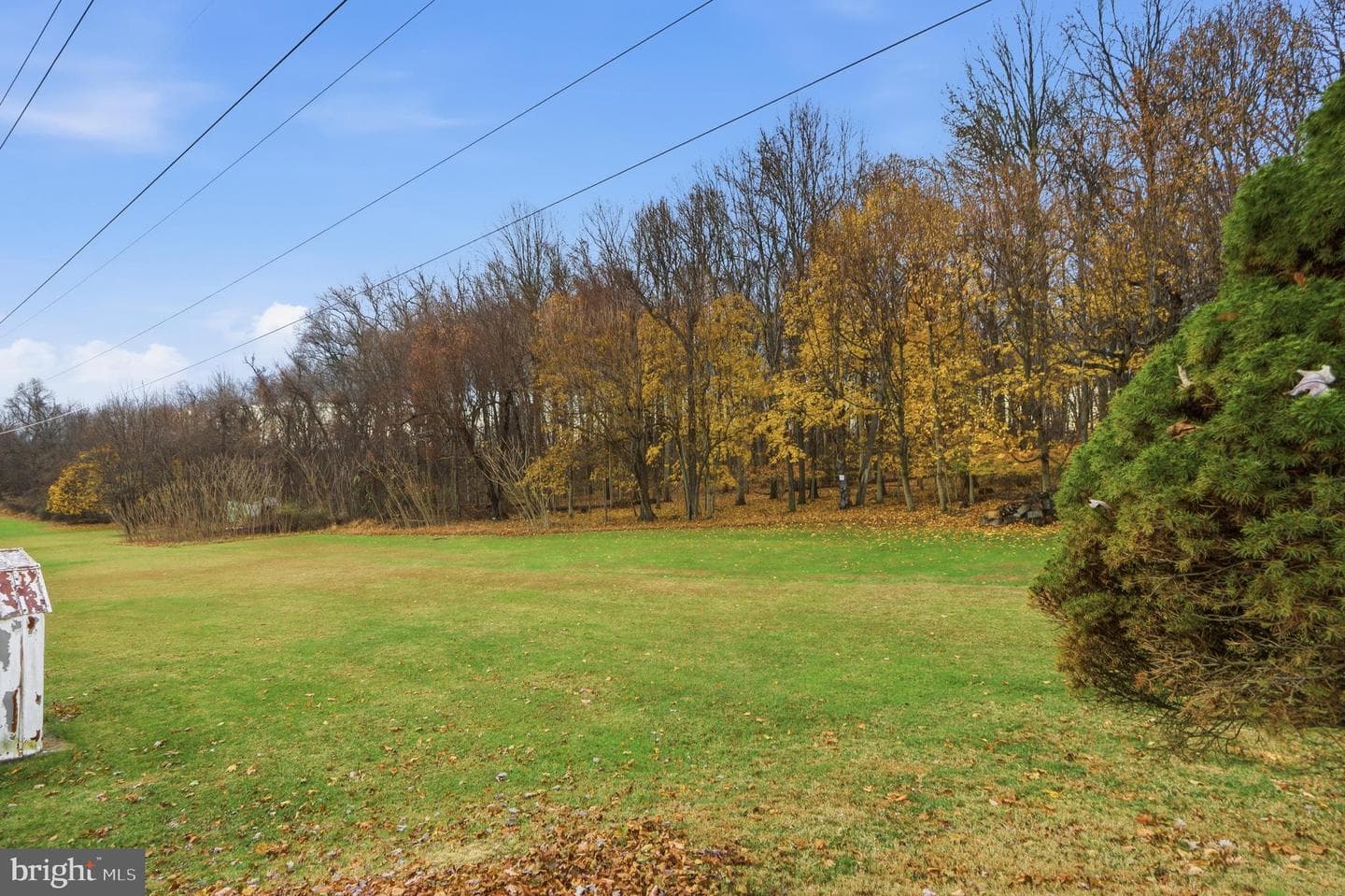 153 Wilgate Road photo 22