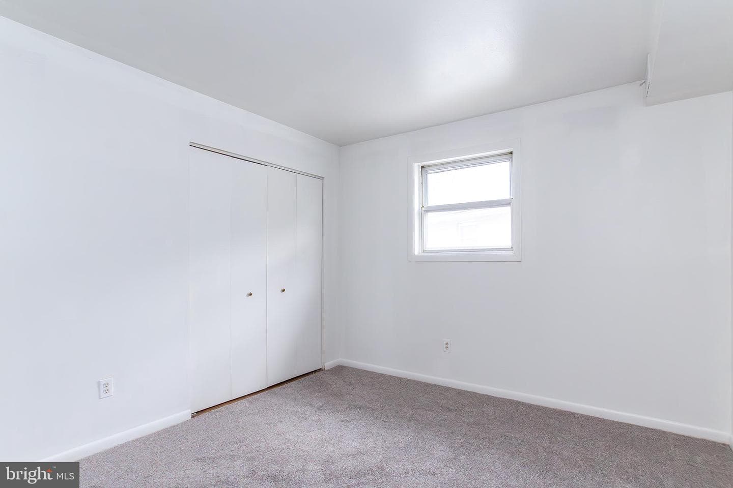 12 Warren Lodge Court #2-D photo 15