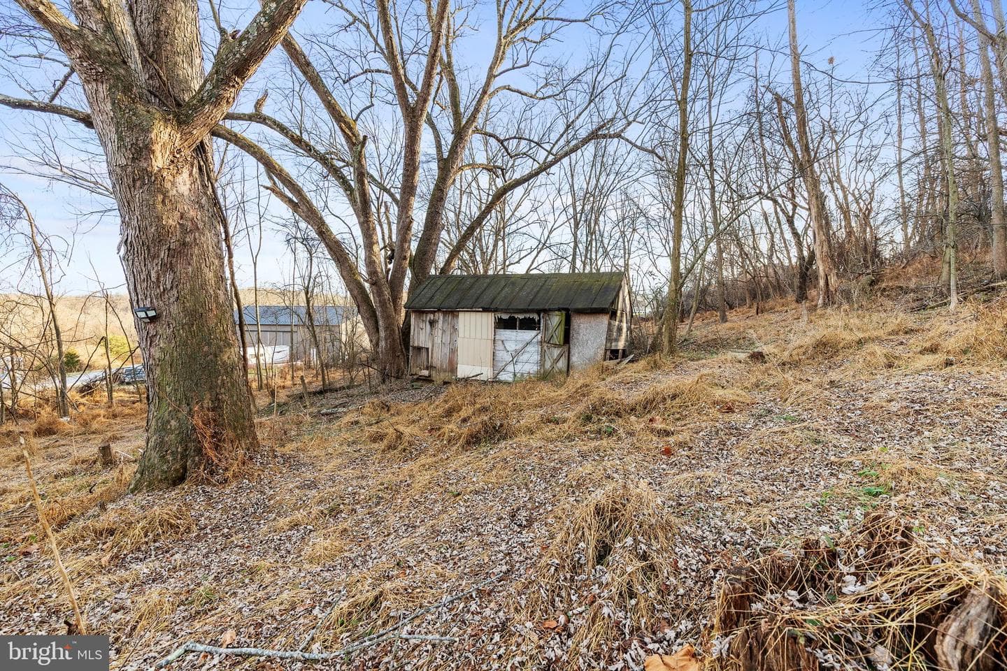 1917 Freeland Road photo 34