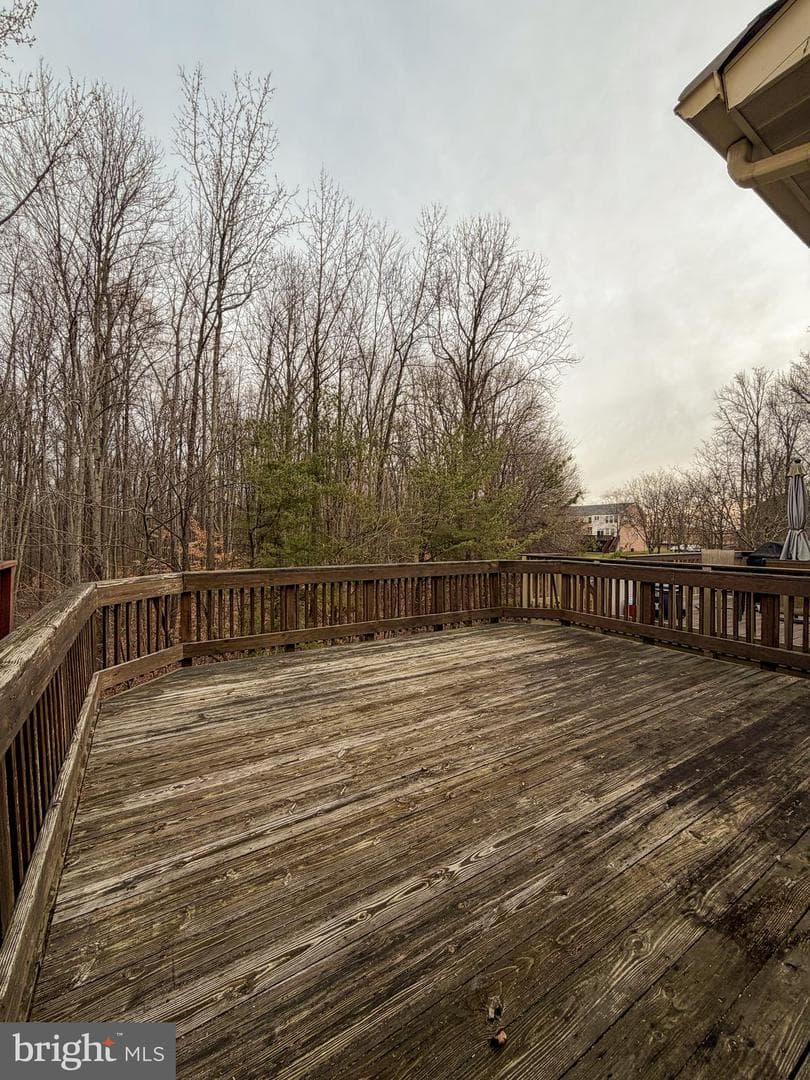 9708 Redwing Drive photo 14
