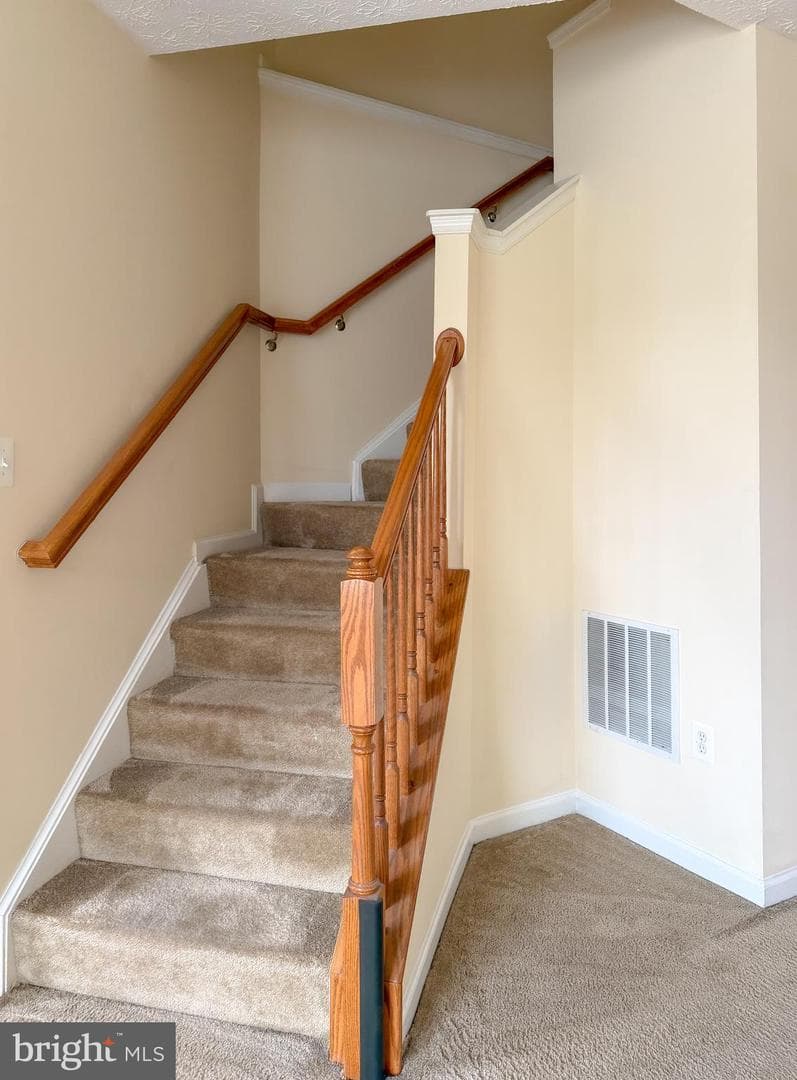 9708 Redwing Drive photo 18