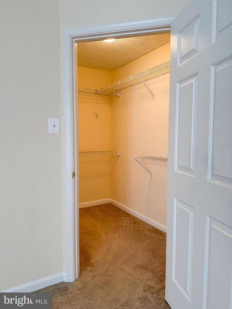 9708 Redwing Drive photo 30