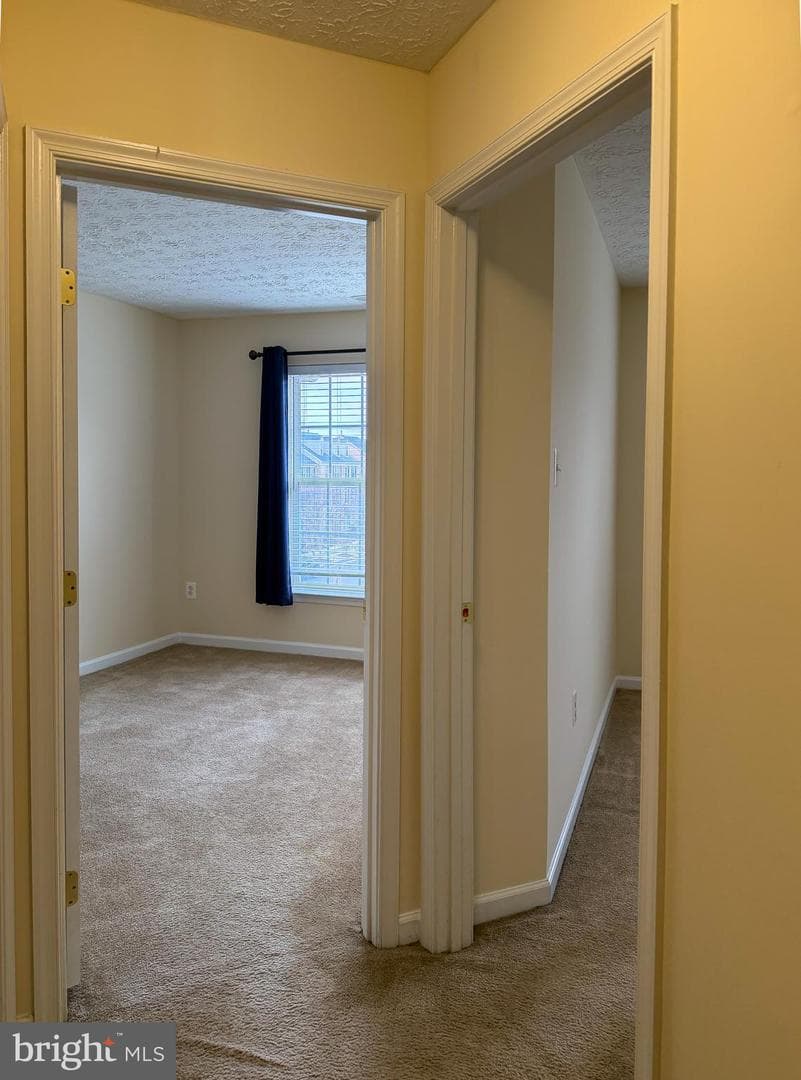 9708 Redwing Drive photo 35