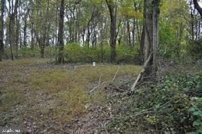 18707 Frederick Road photo 7