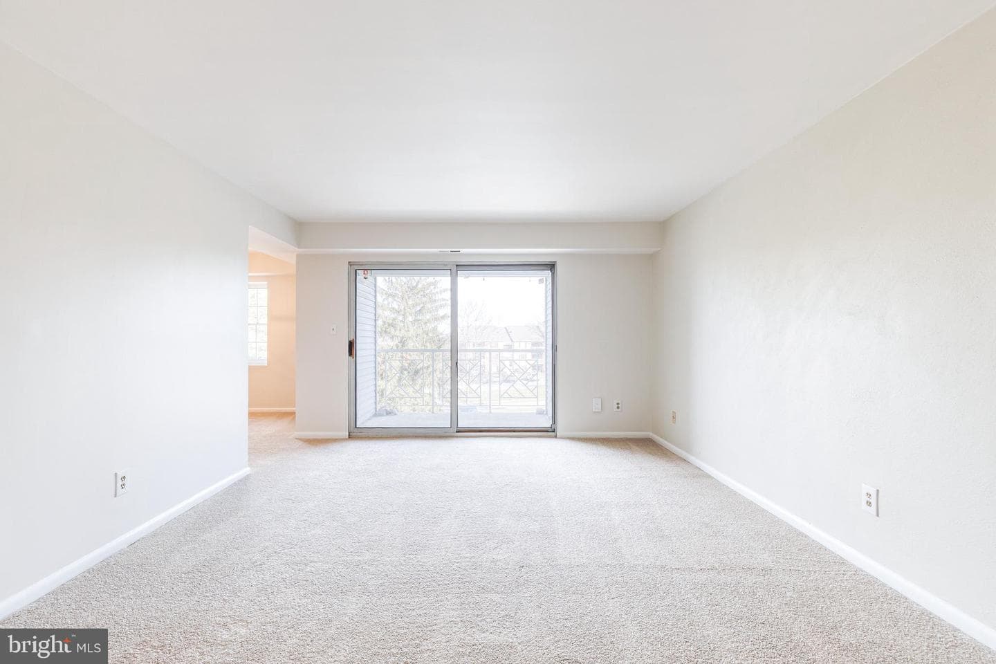 11 Elphin Court #301 photo 10