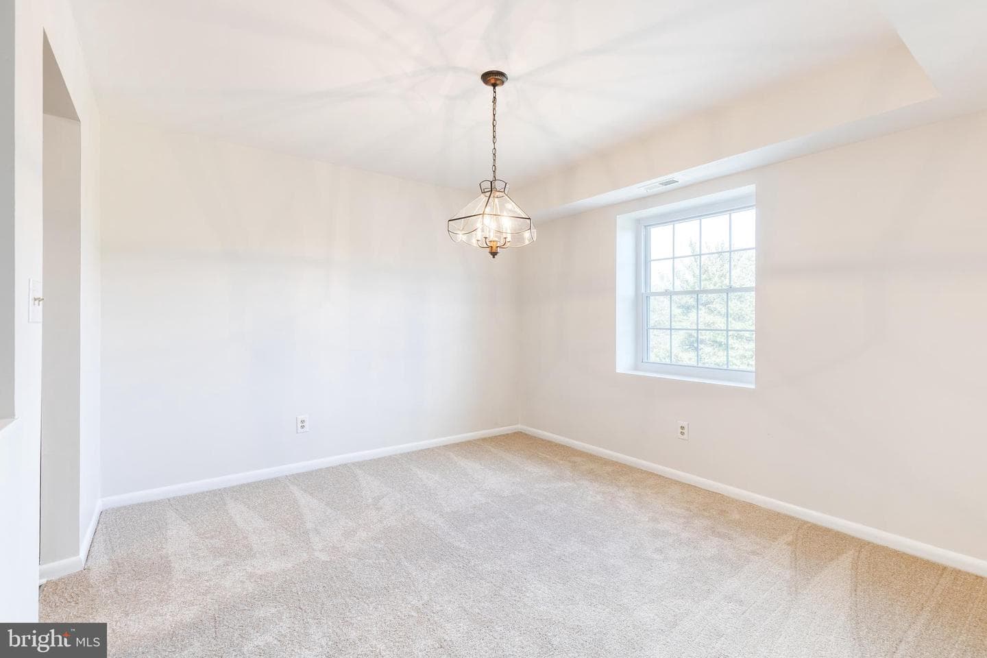 11 Elphin Court #301 photo 12