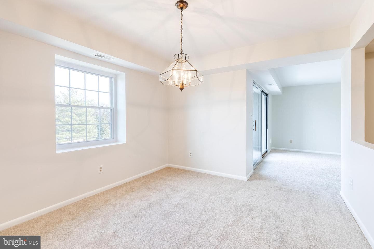 11 Elphin Court #301 photo 13