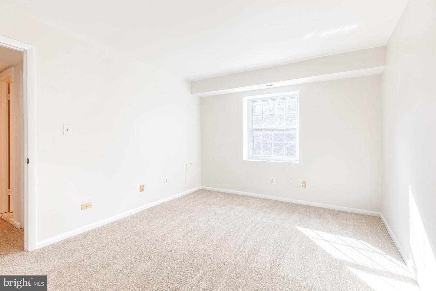 11 Elphin Court #301 photo 27