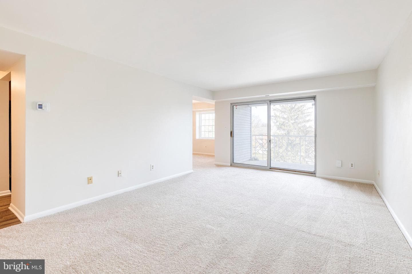 11 Elphin Court #301 photo 6