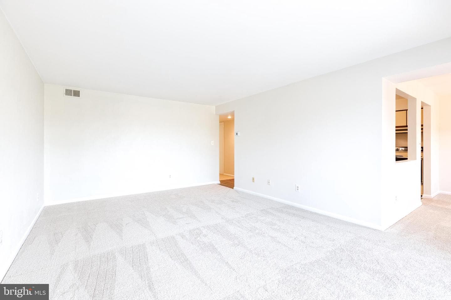 11 Elphin Court #301 photo 9