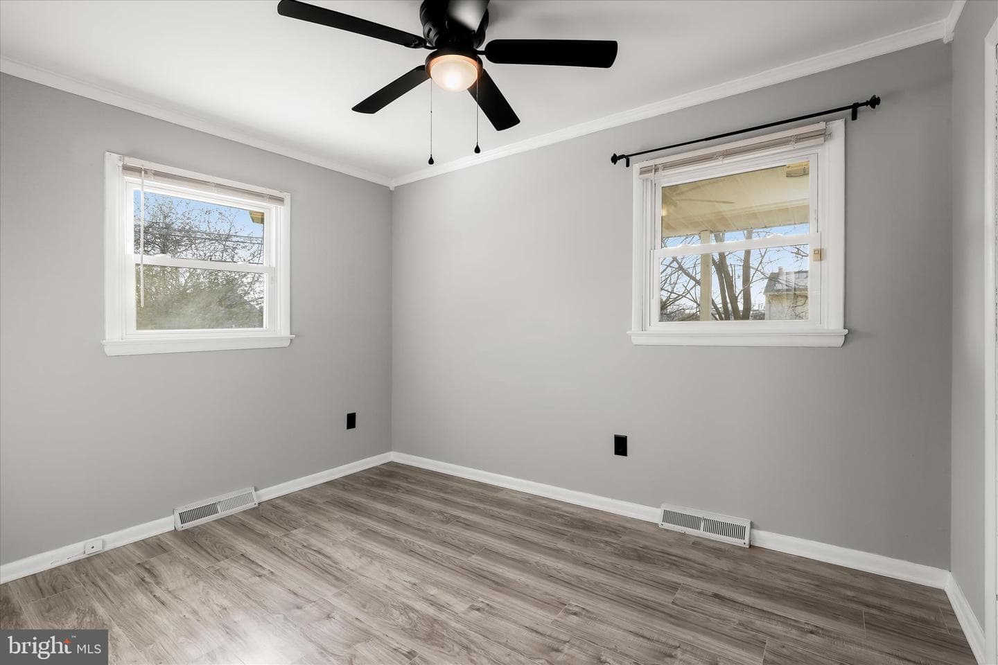 517 Winters Lane photo 18