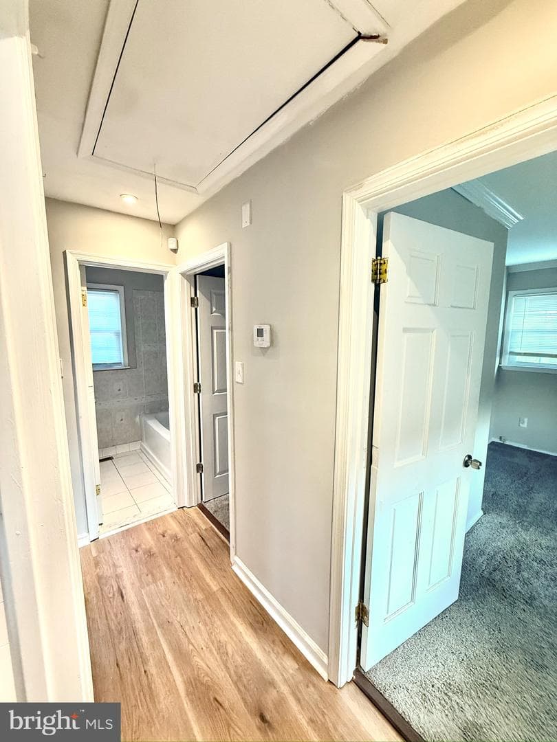 1215 Kent photo 12