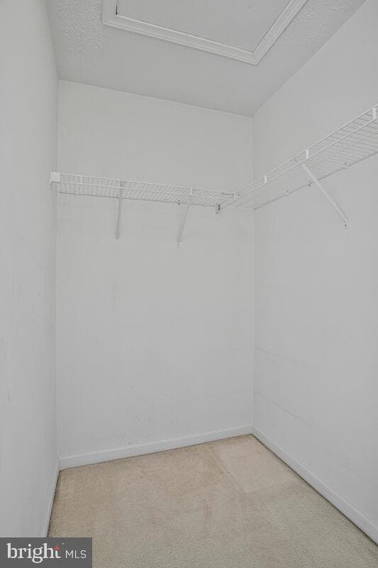 9831 Biggs Road photo 30