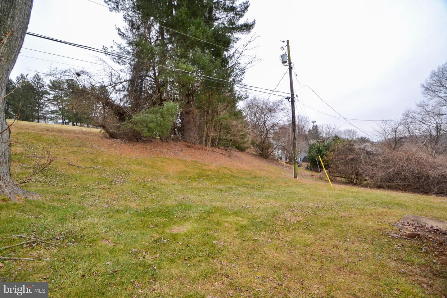 3 Bromwell Court photo 32