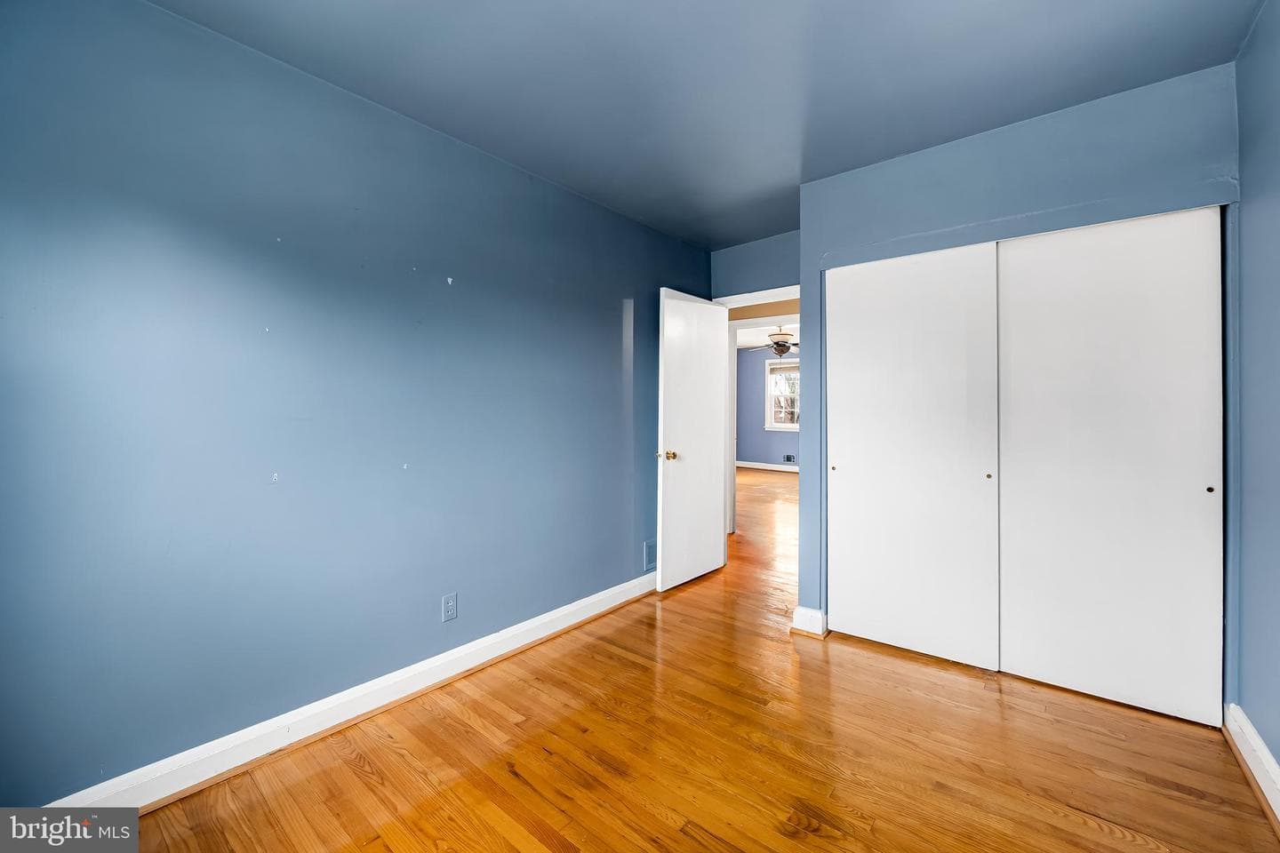 9 Wilfred Court photo 26