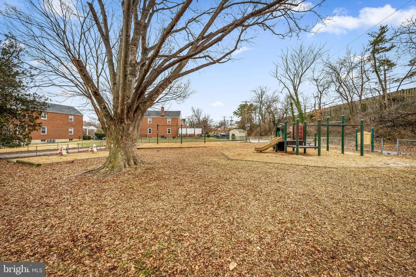 9 Wilfred Court photo 47