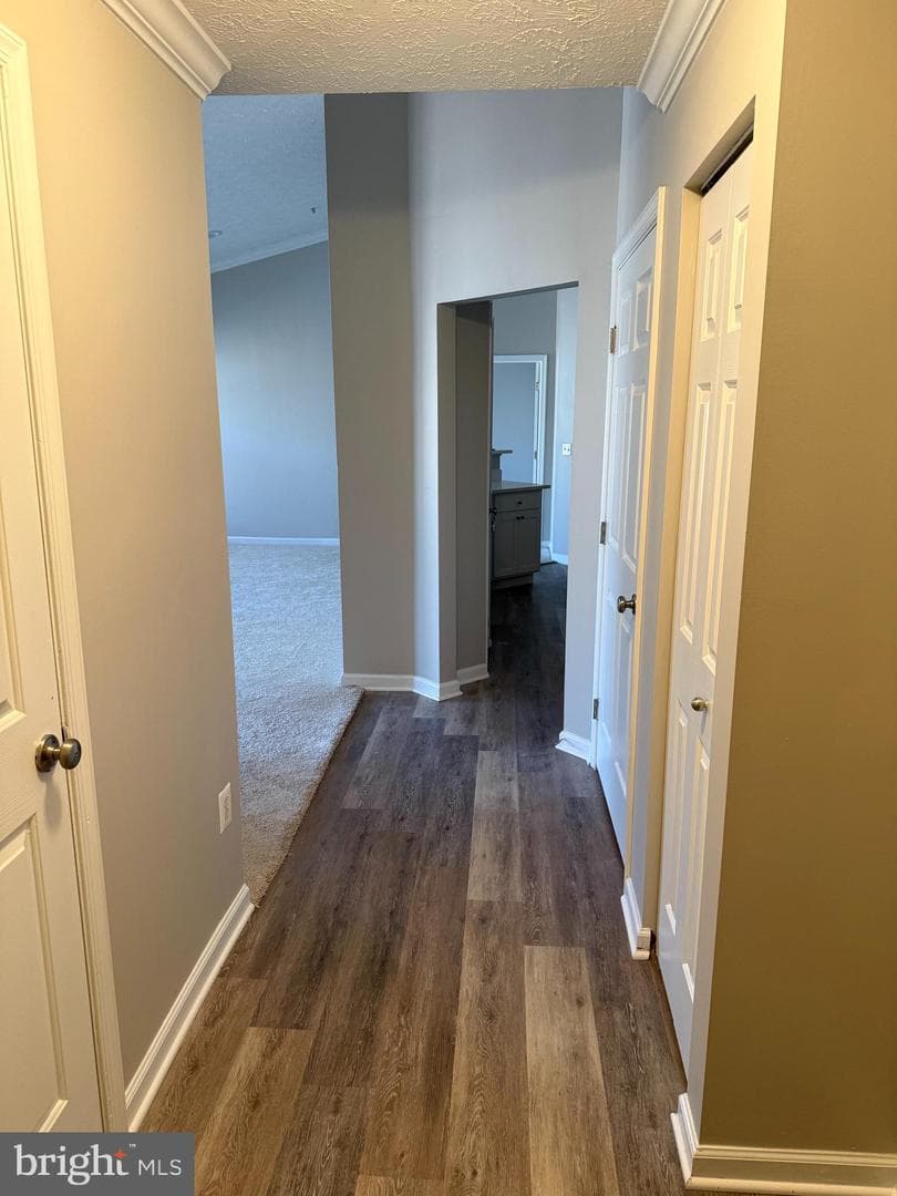 5025 Marchwood Court #5l photo 12