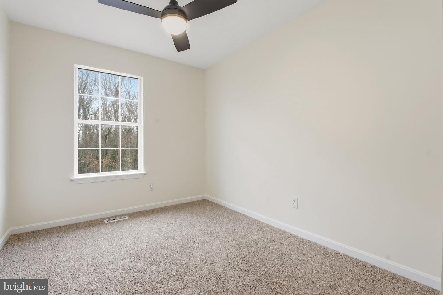 629 Nollmeyer Road photo 16