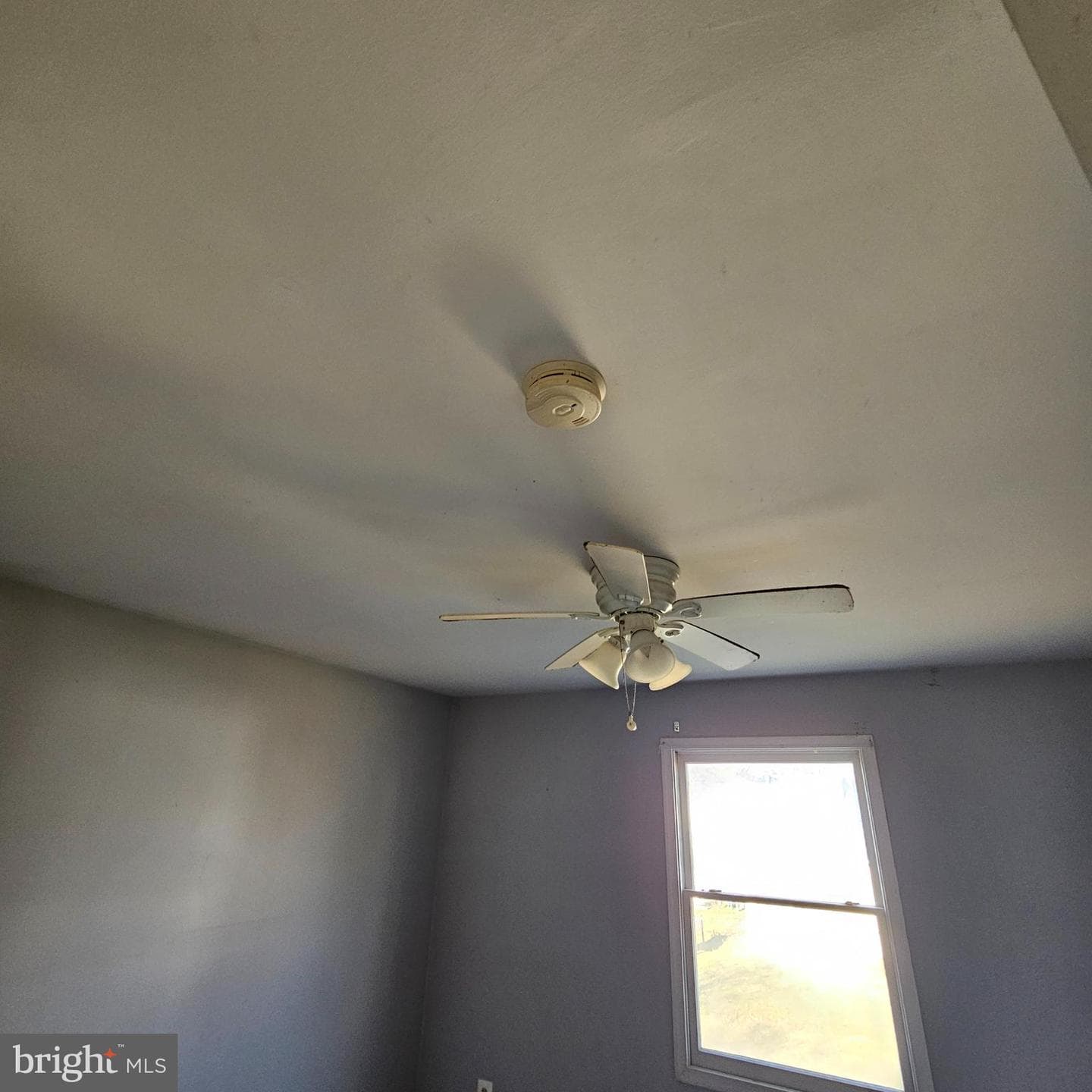 7336 Chesapeake Road photo 10