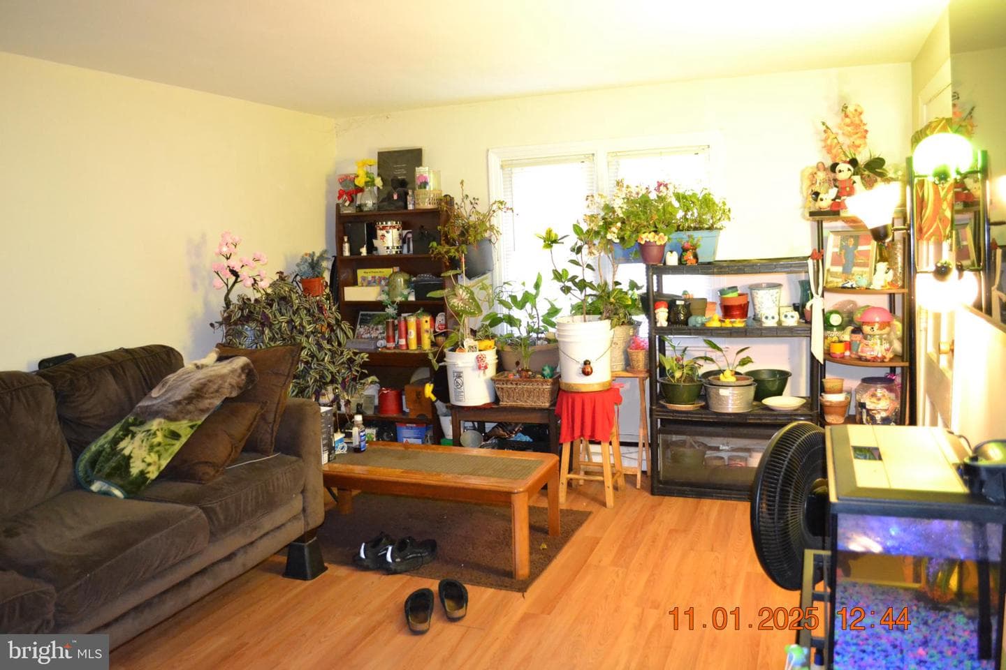 1215 Ingleside Avenue photo 3