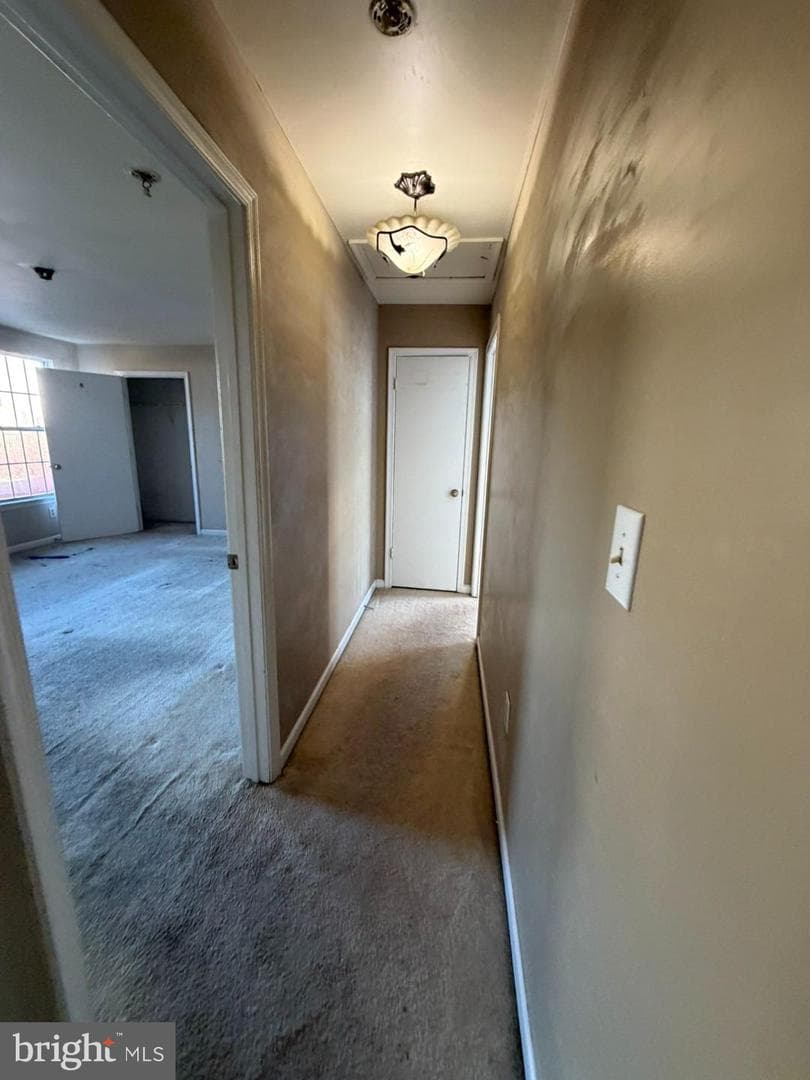 9404 Horn Avenue photo 34
