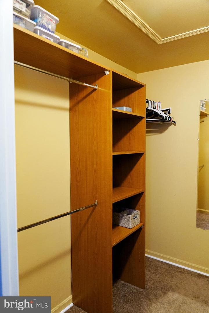5 Windy Meadow Court photo 12