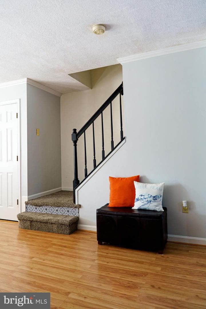 5 Windy Meadow Court photo 8