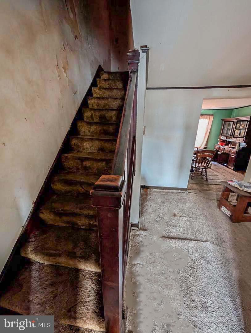 241 Colgate Avenue photo 6