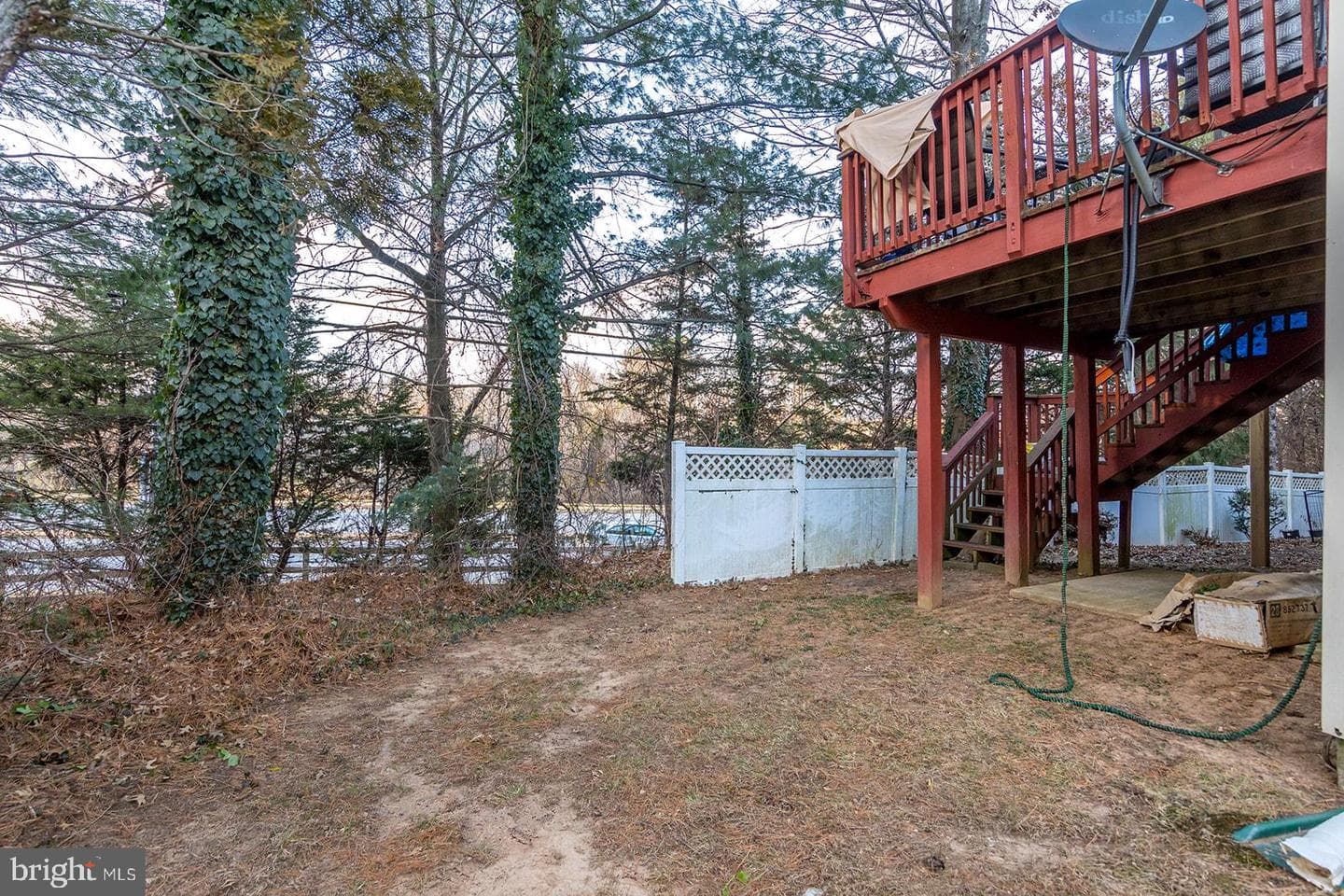 114 Persimmon photo 25