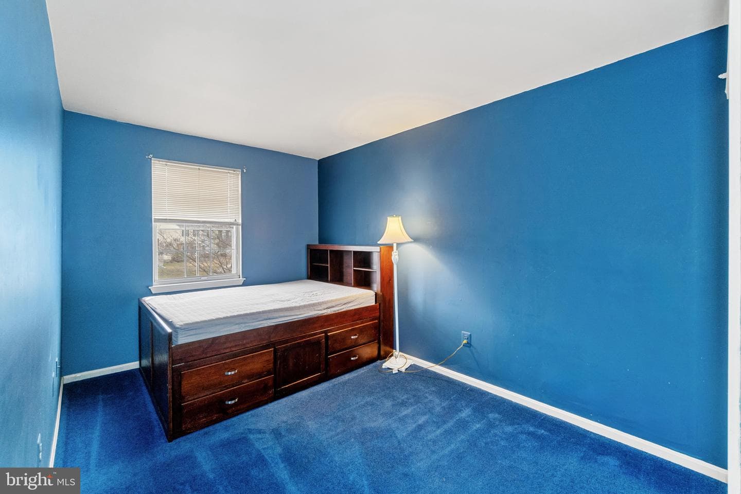 41 Chesthill Court photo 17