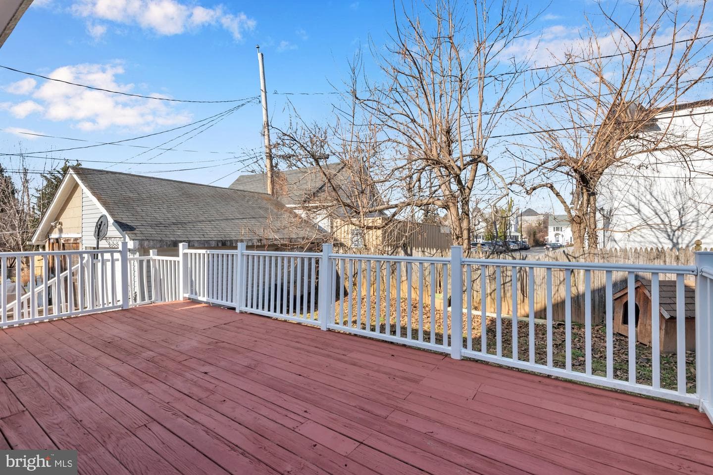 20 Waldron Avenue photo 28