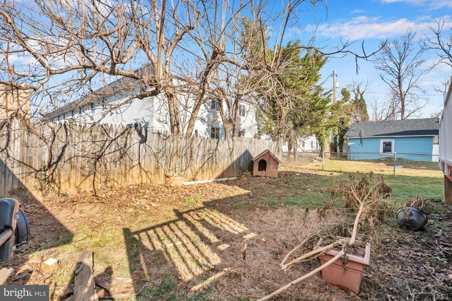 20 Waldron Avenue photo 34