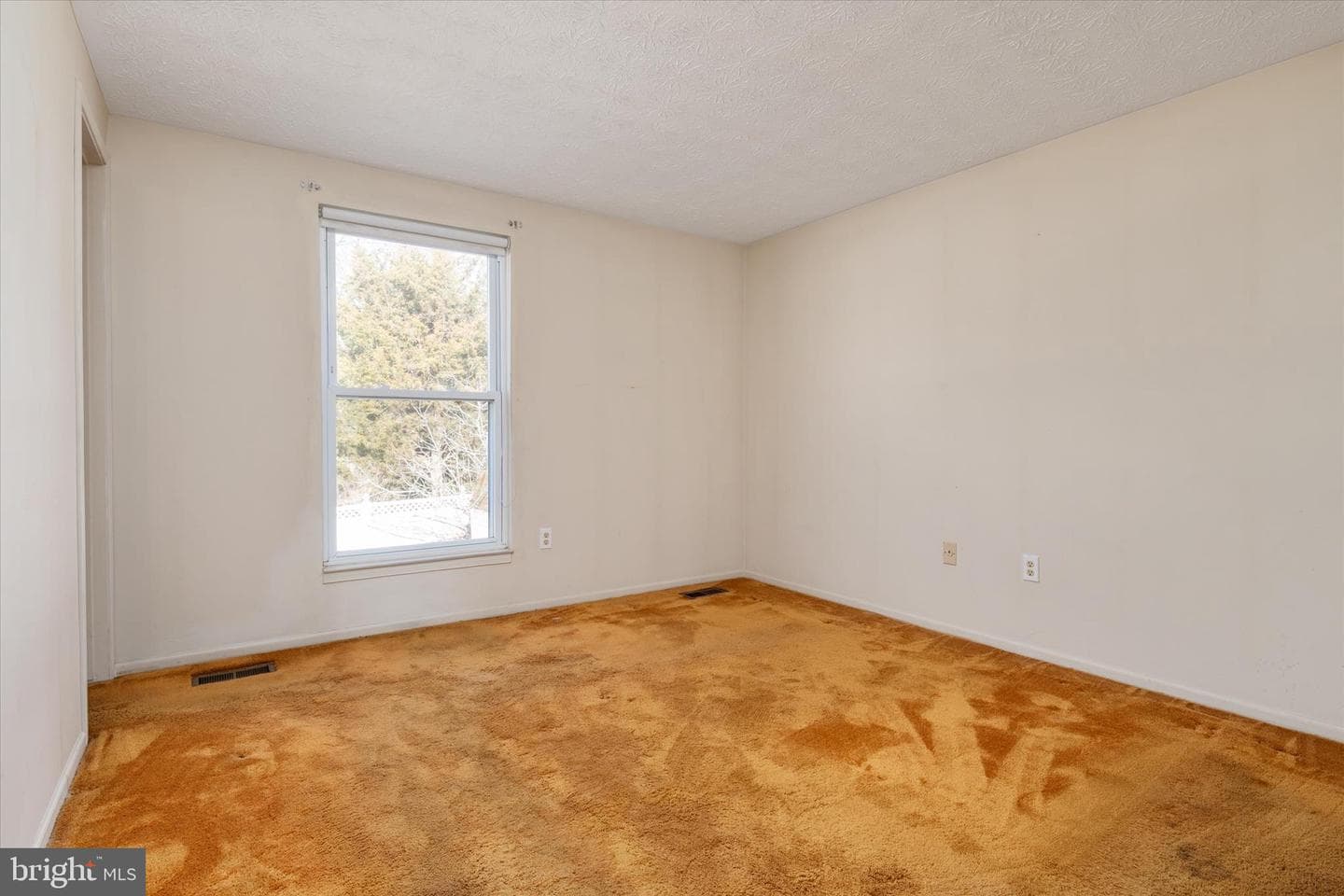 226 Compass Road photo 17