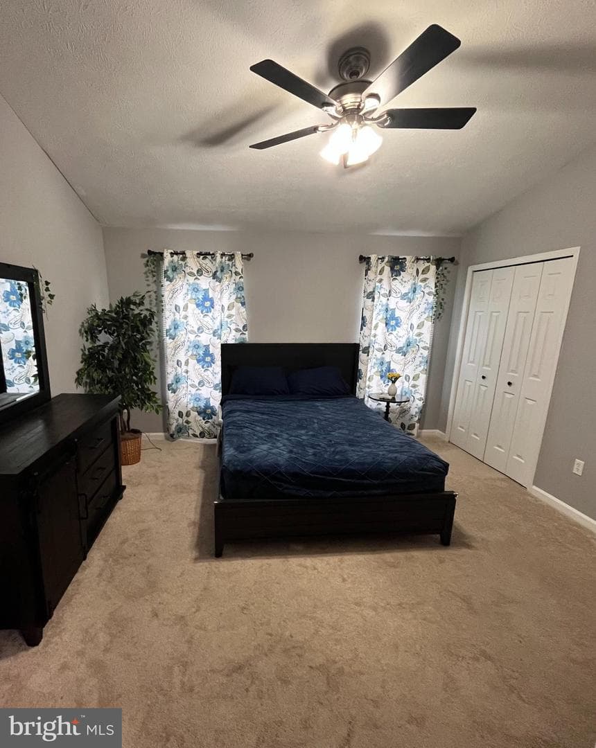 4504 Donatello Square photo 10