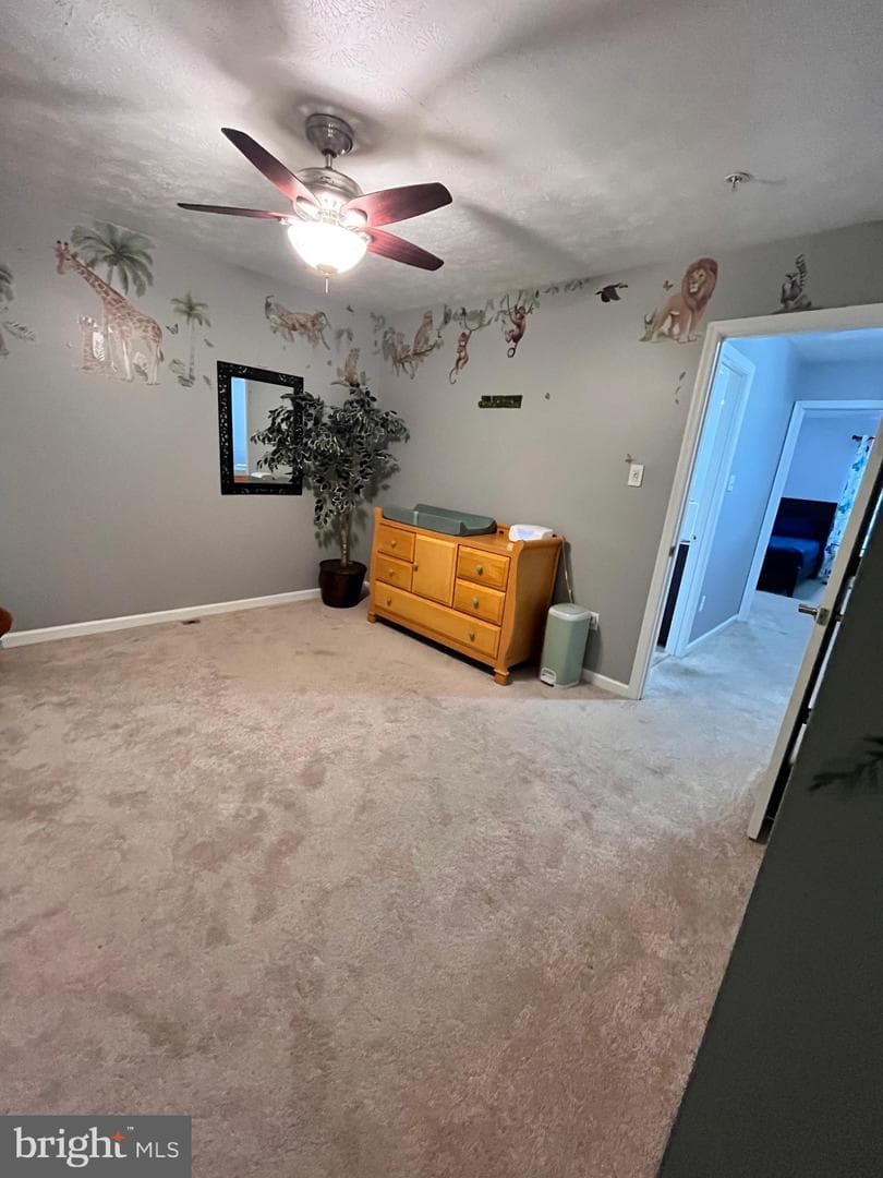 4504 Donatello Square photo 13