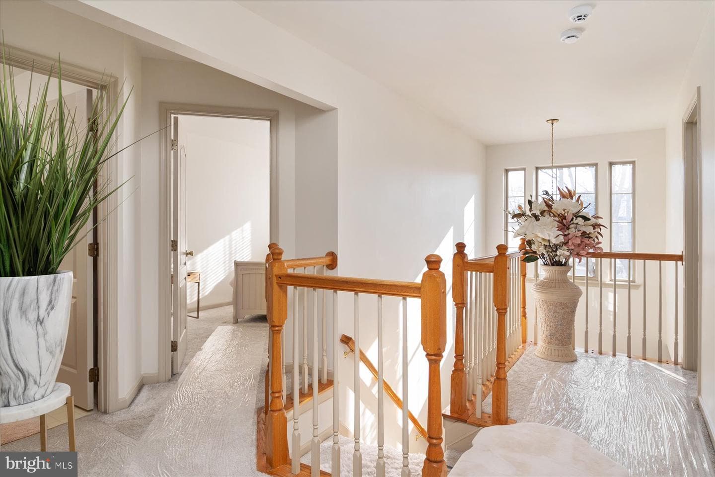 4718 Truffle Lane photo 18