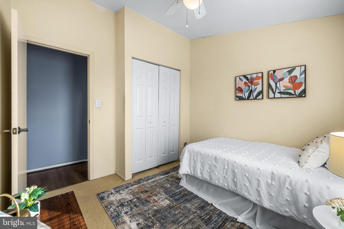 24 Boulder Court photo 27