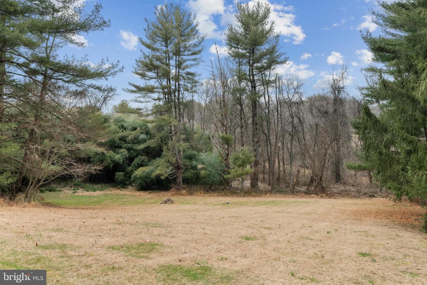 4406 Old Farm Road photo 46