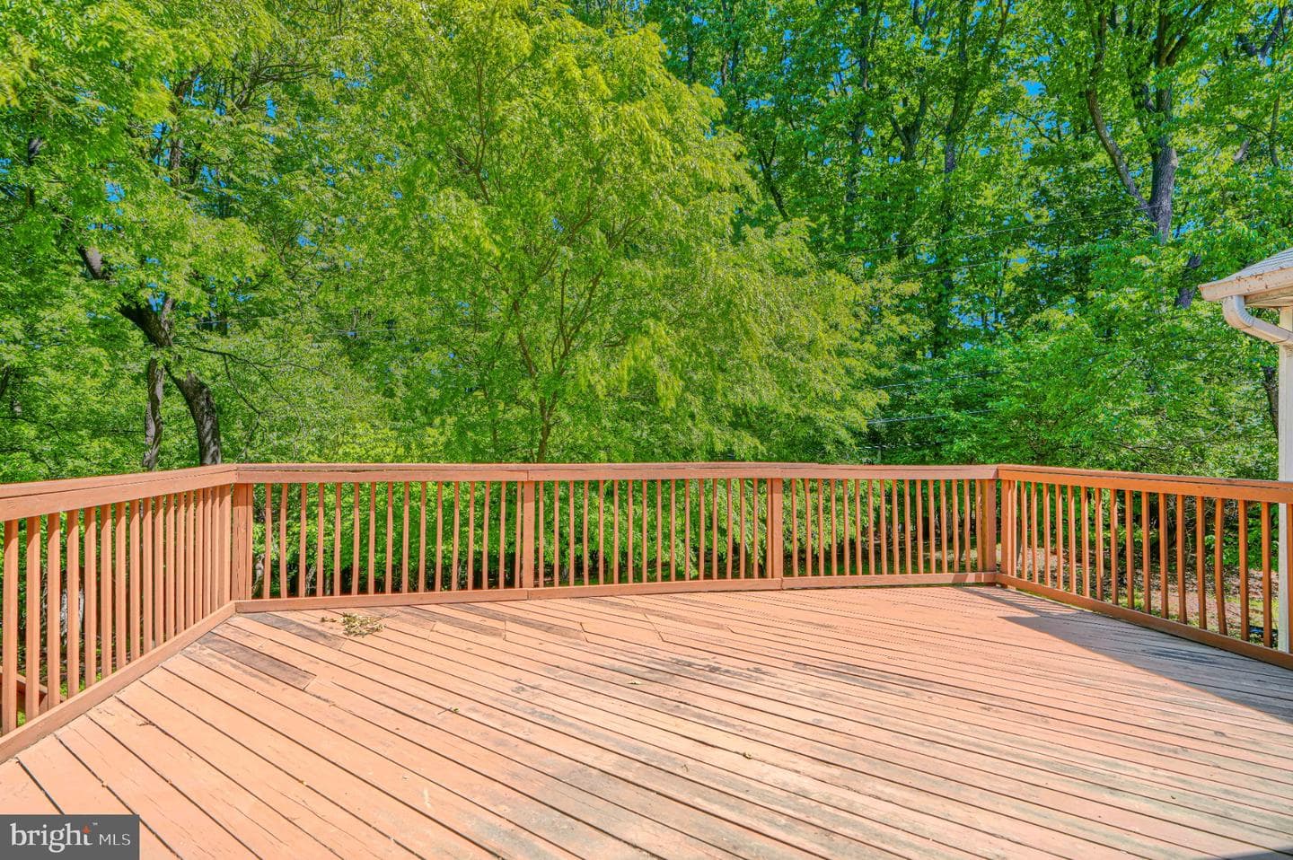 3204 Timberfield Ln photo 37