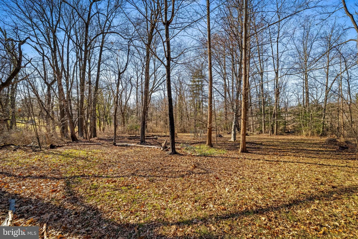 1706 Kurtz Avenue photo 2