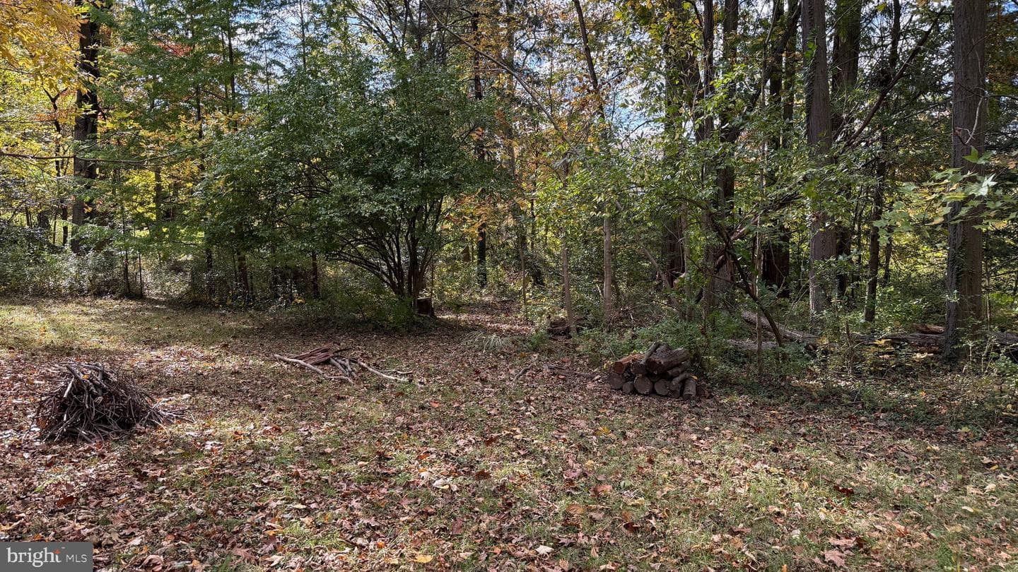 1706 Kurtz Avenue photo 41
