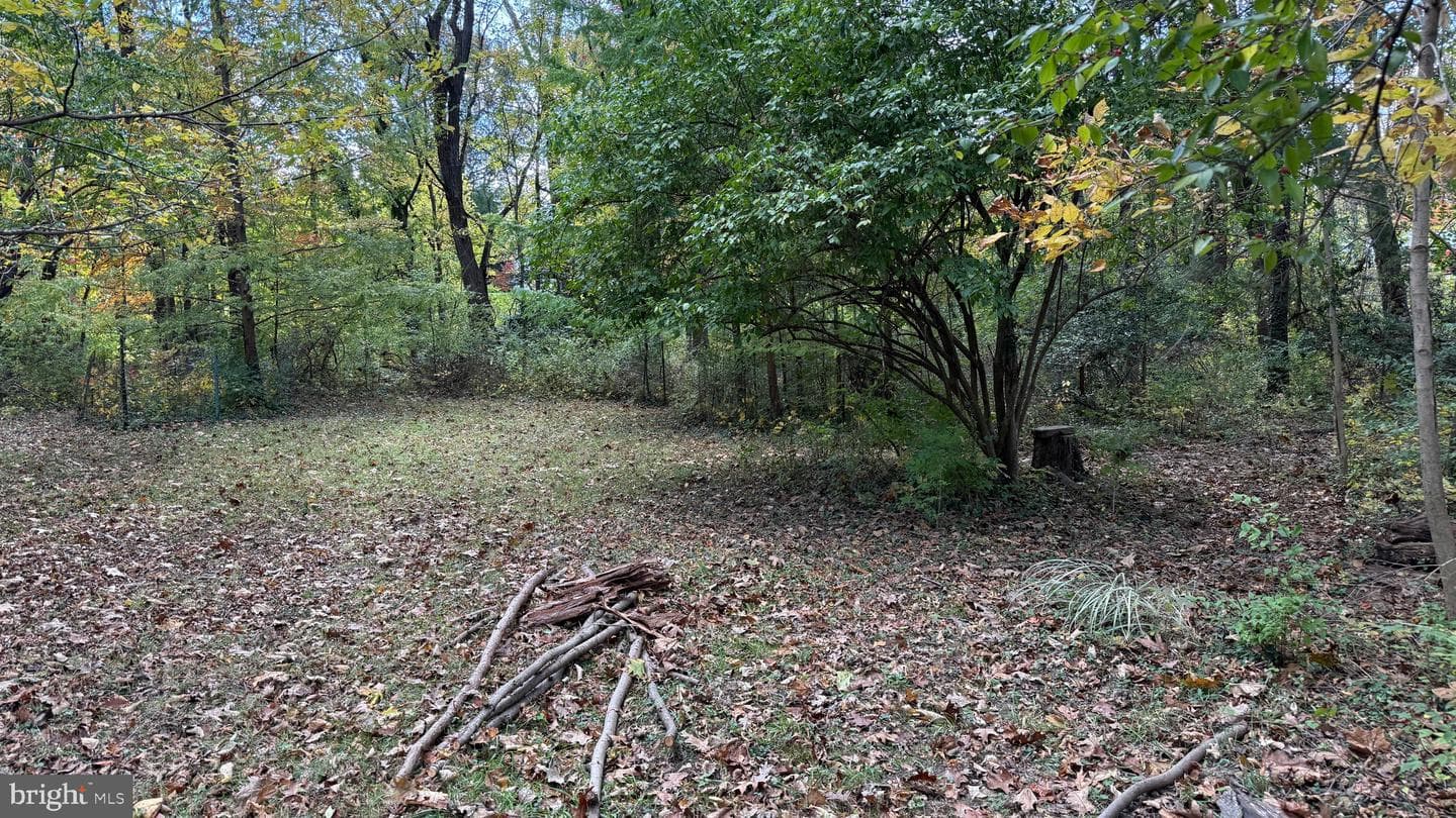1706 Kurtz Avenue photo 43