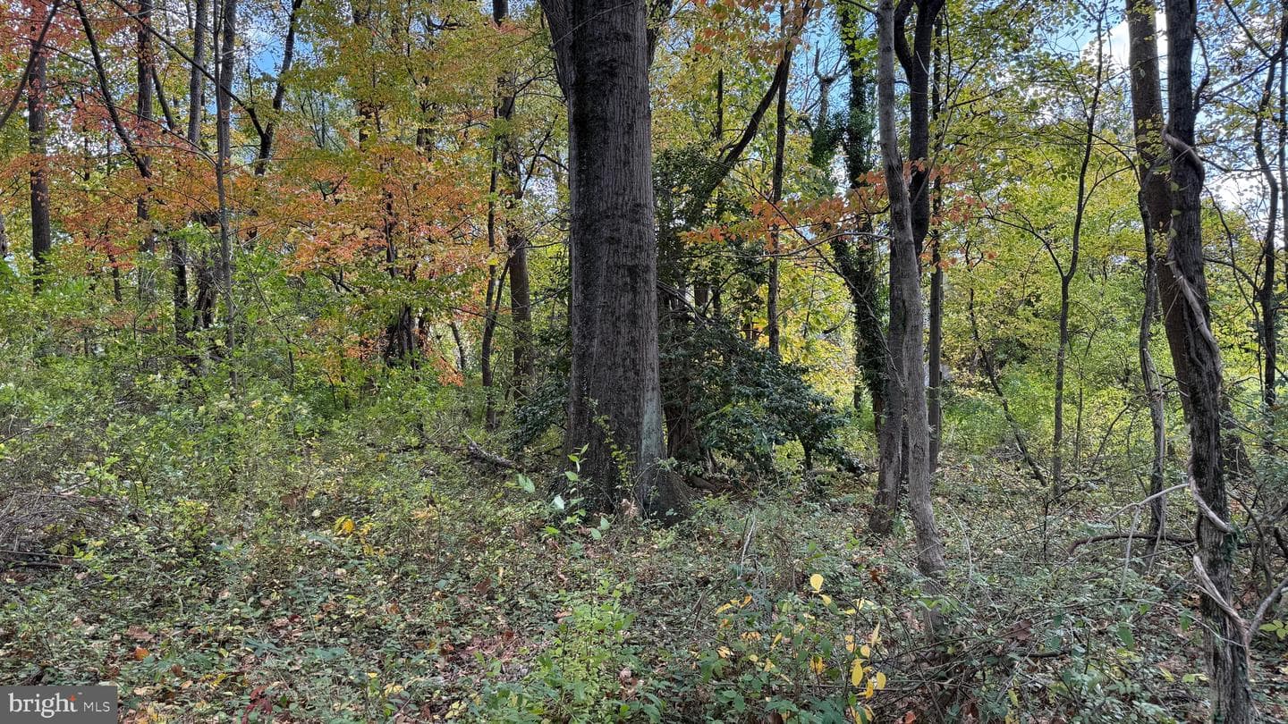 1706 Kurtz Avenue photo 45