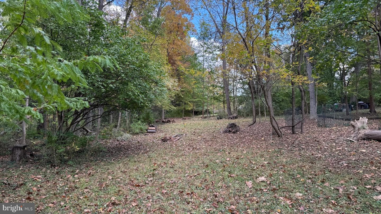 1706 Kurtz Avenue photo 46