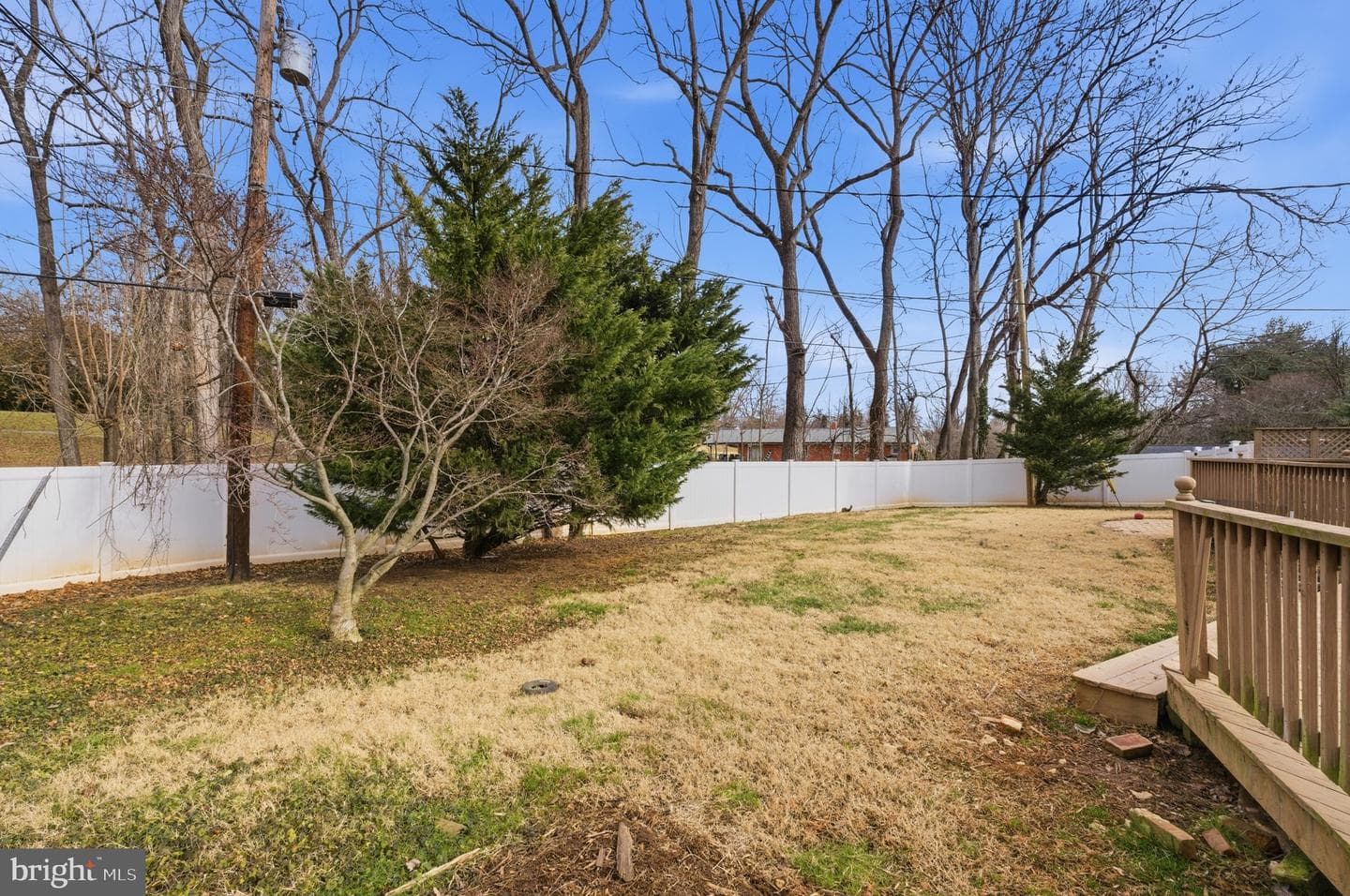 8 Peachtree Court photo 50