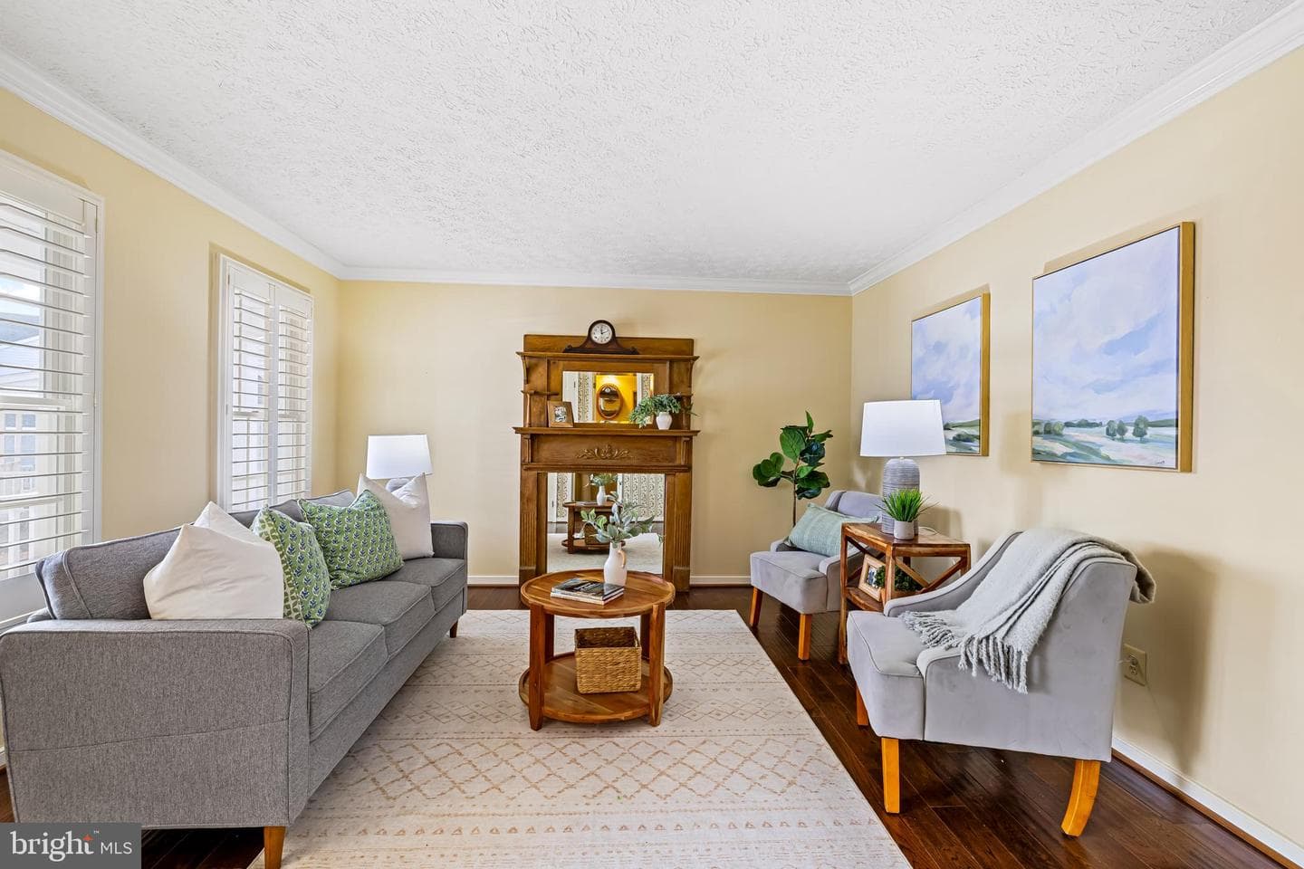 10 Symphony Woods Court photo 7