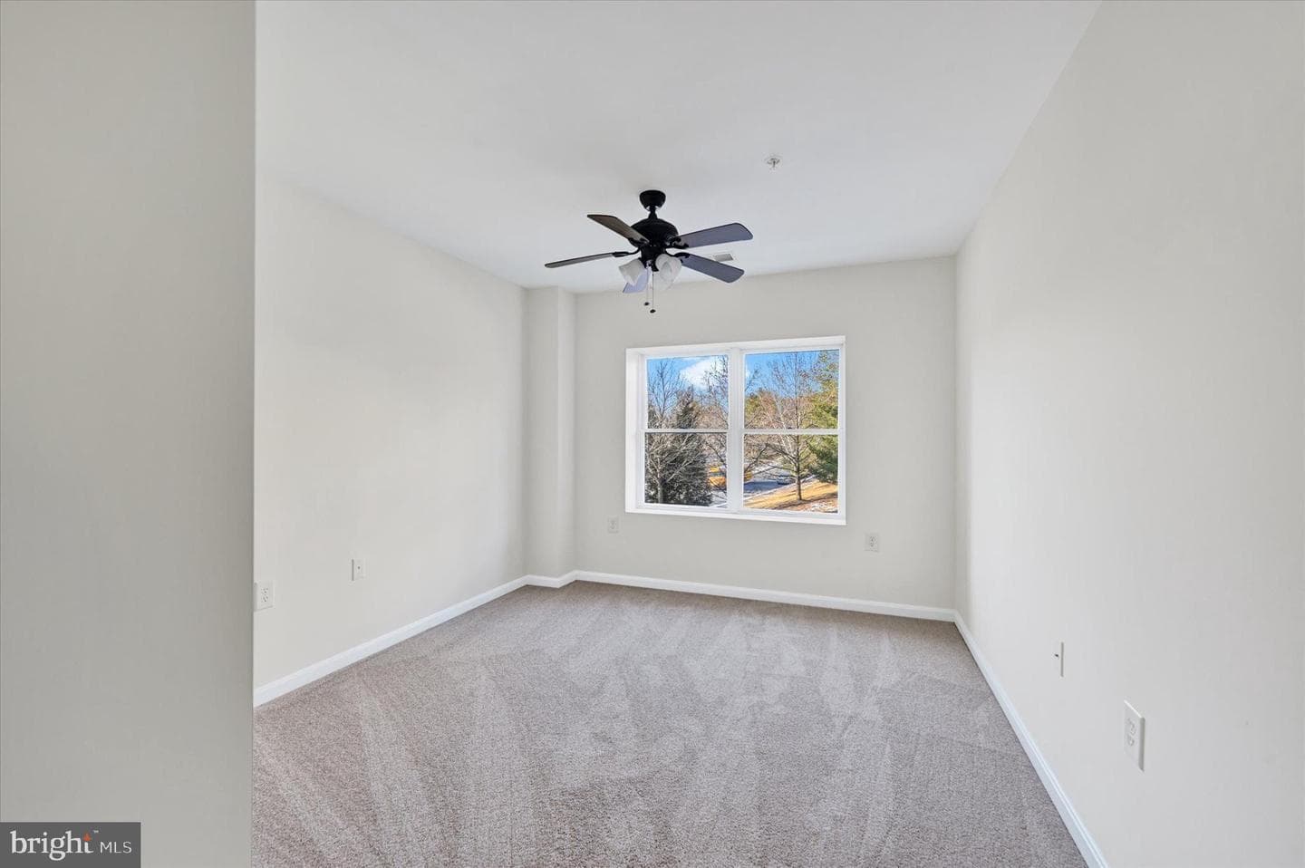 12236 Roundwood Road #104 photo 19