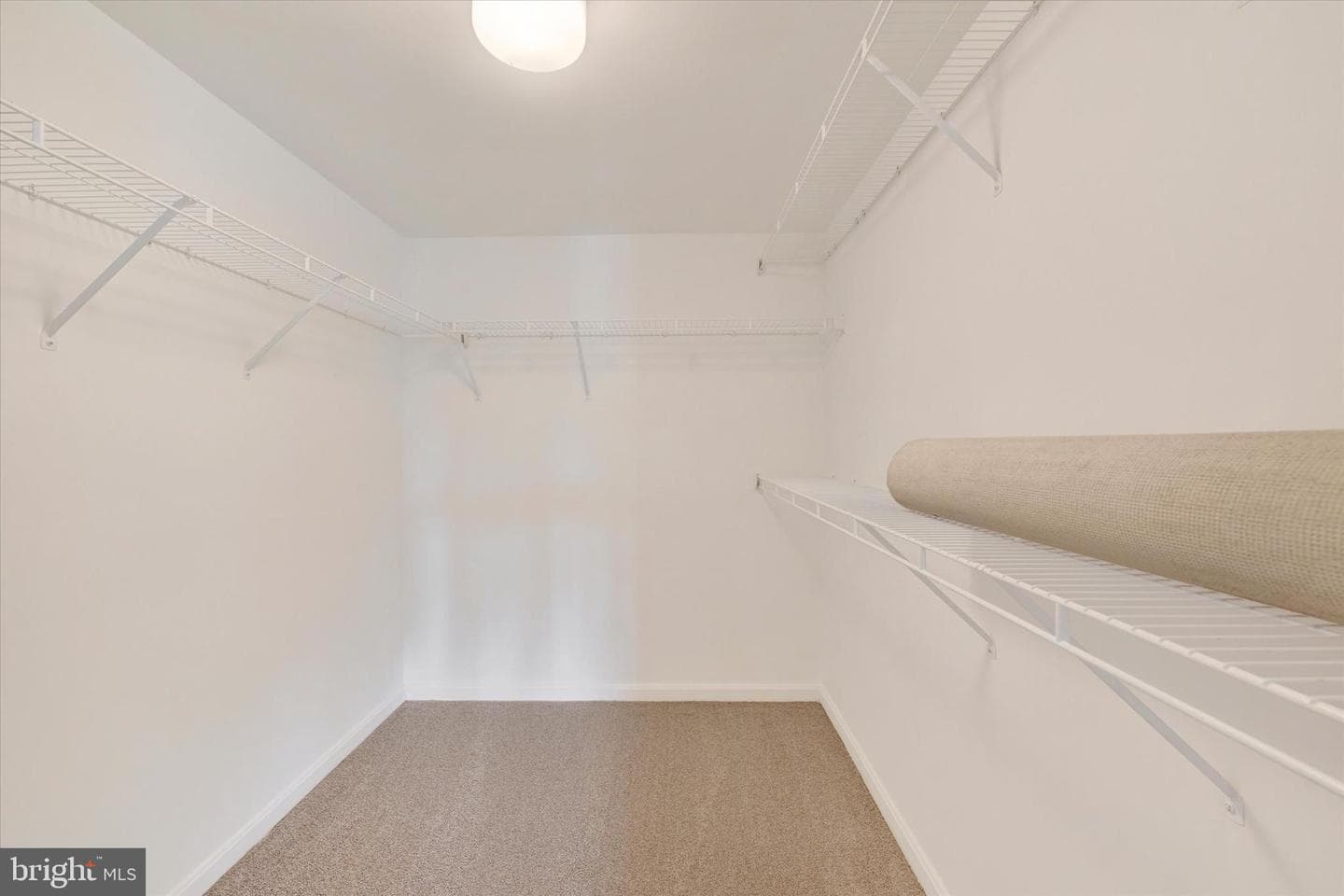 12236 Roundwood Road #104 photo 24