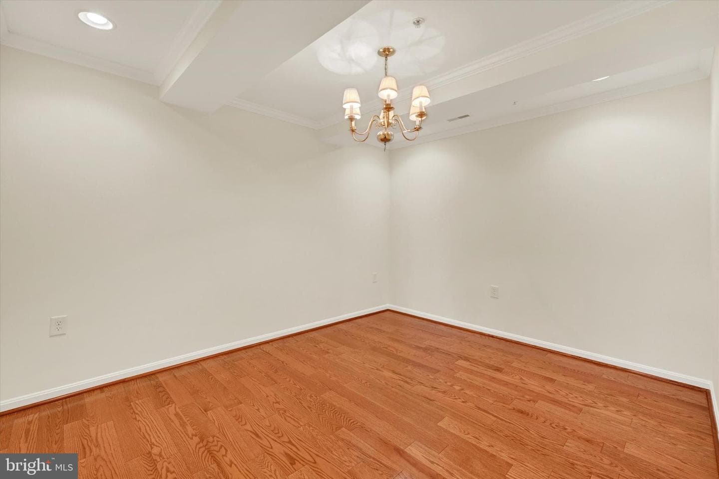 12236 Roundwood Road #104 photo 5